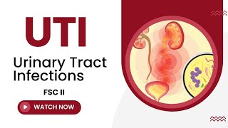 Urinary tract infections class 12  Urinary tract infections UTIs [upl. by Lilithe]