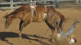 Ranch Broncs  2018 Will Rogers Range Riders Rodeo  Thursday [upl. by Onairot]