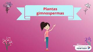 Plantas con semillas angiospermas y gimnospermas [upl. by Puritan]