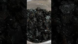 How To Breed Springtails  Endless Supply shorts reptiles springtails [upl. by Cora]