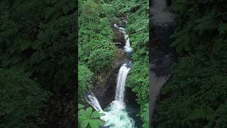 Taveuni island waterfalls fiji travel explore travelguide shorts [upl. by Aretha]