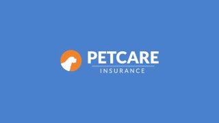 Pet Sitting Insurance [upl. by Paynter]