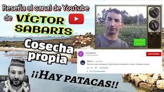 COSECHA PROPIA DE PATACAS  VÍCTOR SABARIS FAMOSO por RUBIUS y JUJALAG RESEÑA DE CANAL y BIOGRAFÍA [upl. by Elyrpa76]