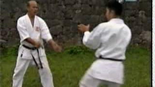 The most dangerous punch  Okinawa Karate  Masaaki Ikemiyagi  最も危険な突き  池宮城政明先生  沖縄空手 [upl. by Nido475]