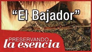 El Bajador por qué está MAL usarlo Grave pecado charro [upl. by Tsuda]