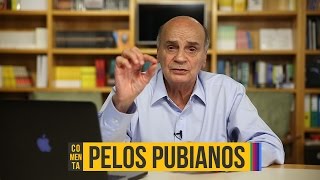 Depilar os pelos pubianos traz algum risco  Drauzio Comenta 41 [upl. by Lash]