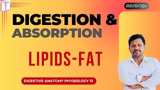 Digestion and Absorption Lipids Fat Malayalam Digestive System Anatomy Physiology Malayalam [upl. by Anoif]