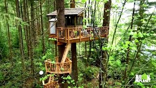 Behind the Build Nelson Family Treehouse [upl. by Naols]