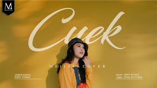 Meilisa Cover Cuek GarisCinta  Rizky Febian [upl. by Kristina325]