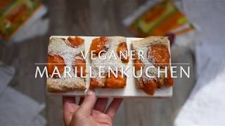 Veganer Marillenkuchen ohne Zucker  Rezept  mit XylitBirkenzucker  Birkengold [upl. by Akinahs]