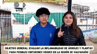 Inflamabilidad de árboles y plantas para cinturones verdes [upl. by Aizirtap]