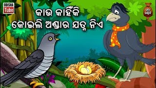 Odia Children Story  କାଉ କାହିଁକି କୋଇଲି ଅଣ୍ଡାର ଯତ୍ନ ନିଏ  Educational Video  Odisha Tube [upl. by Amalie]