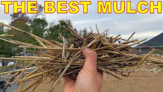 This Is The BEST MULCH For Your Garden [upl. by Ynoble]