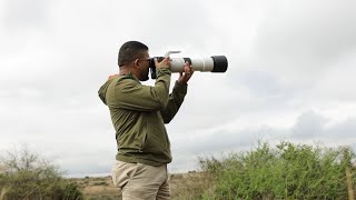 Canon RF200800mm  Product Review  Paras Chandaria [upl. by Dnaleel]