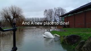 Pershore Floods 3rd January 2024 [upl. by Bowrah772]