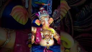 Ganpati Bappa moryaom song ganpati ganeshbappa viral videojabalpur 2024status videostutas [upl. by Ahk]