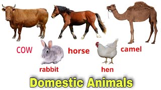 Pets Name  Animals  Domestic Animals  Kids Learning Zone  Animals Name Learning For Kids [upl. by Billmyre]