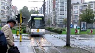 Antwerpen Hermelijn Low Floor Trams [upl. by Petua]