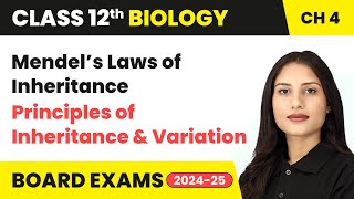 Mendel’s Laws of Inheritance  Principles of Inheritance and Variation  Class 12 Biology Chapter 4 [upl. by Airdnaxila390]