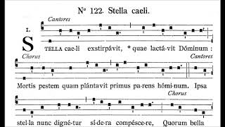 Stella Caeli Canto Gregoriano per i tempi di pestilenze [upl. by Greenman494]