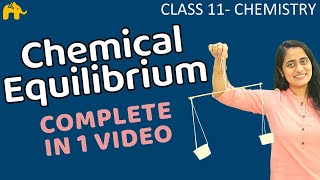 Equilibrium Chemistry Class 11  Chapter 7 Chemical Equilibrium One Shot  CBSE NEET JEE [upl. by Aitital]