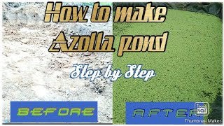 How to make Azolla Pond ll Step by step [upl. by Noirda]