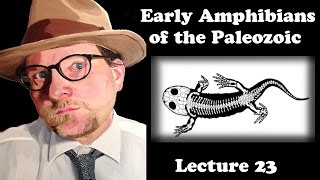 Lecture 23 Early Amphibians of the Paleozoic [upl. by Hnid]