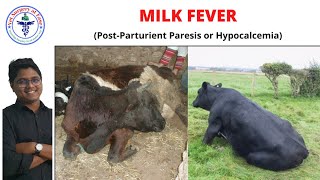 Milk Fever  Bovine Diseases  Lecture 04 [upl. by Enyaht]