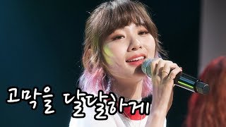 S영상 볼빨간사춘기 바람사람 무대 1위 하면 냅다 버스킹 가즈아 [upl. by Ynahpit924]