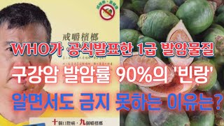 식물 세계에서 가장 치명적인 발암률을 가진 식물 빈랑 🍐 Areca catechu [upl. by Nomannic]