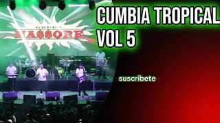 cumbias tropicales vol 5 cumbiastropicalesparabailar [upl. by Heeley]