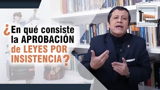 ¿En qué consiste la APROBACIÓN DE LEYES POR INSISTENCIA  TTR  95 [upl. by Tench306]