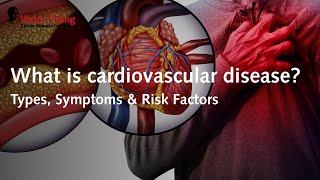 What is cardiovascular disease  Victor Chang Cardiac Research Institute [upl. by Wengert]