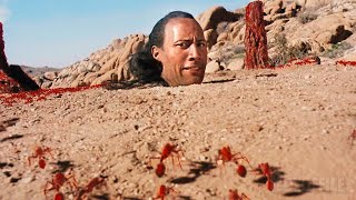 3 scenes we love in The Scorpion King starring Dwayne quotTHE ROCKquot Johnson 🌀 4K [upl. by Ecyned]