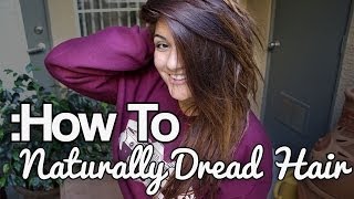 How To Naturally Dread Hair [upl. by Inava695]