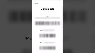 How To Check IMEI Number On iPhone [upl. by Widera338]