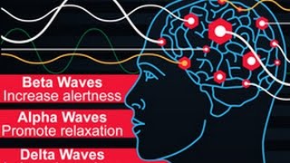 Types of Brain Waves and Their Functions [upl. by Worth]