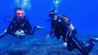 Rediscover Scuba Diving Espíritu de Buceo Tenerife [upl. by Wickman]