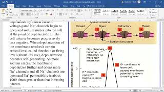 physiology of excitable tissues [upl. by Ehrenberg]