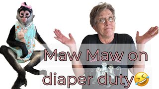 Can maw maw change a monkeys diaper 🤣monkeys [upl. by Arihs]