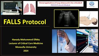 FALLS Protocol Fluid administration limited by lung ultrasonography [upl. by Ylicis587]