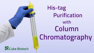 How to purify proteins with a drip columns  column chromatography [upl. by Okomot885]