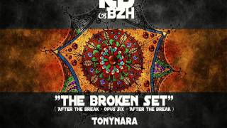 Tonynara  The Broken Set jigs [upl. by Ohare]