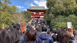 古都鎌倉 鶴岡八幡宮に参拝にいきましたWe went to Kamakura Tsurugaoka Hachimangu Shrine [upl. by Lamahj]