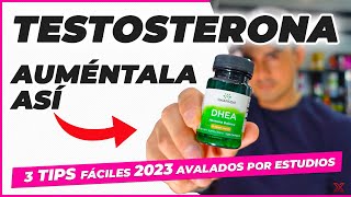 🟡 3 Tips para AUMENTAR TESTOSTERONA en 2024 🔥  FUNCIONA ✅ [upl. by Slorac859]