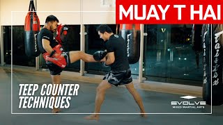 Muay Thai Training Series Defense amp Counters  Teep Counter Techniques [upl. by Anawat813]