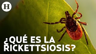 ¿Cuáles son los síntomas de la rickettsiosis Enfermedad por ha matado a 16 personas en Coahuila [upl. by Anelrad]