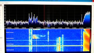 Icom 7600 vs sdr softrock [upl. by Akimyt988]