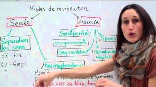 20 Sciences 9e Modes de reproduction [upl. by Anaeda]