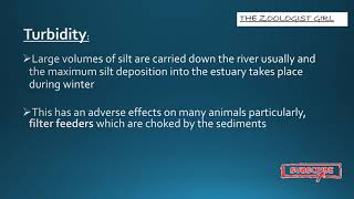 Estuarine Ecosystem Presentation  Estuary Habitat  Estuarine Ecology Presentation [upl. by Ttcos457]